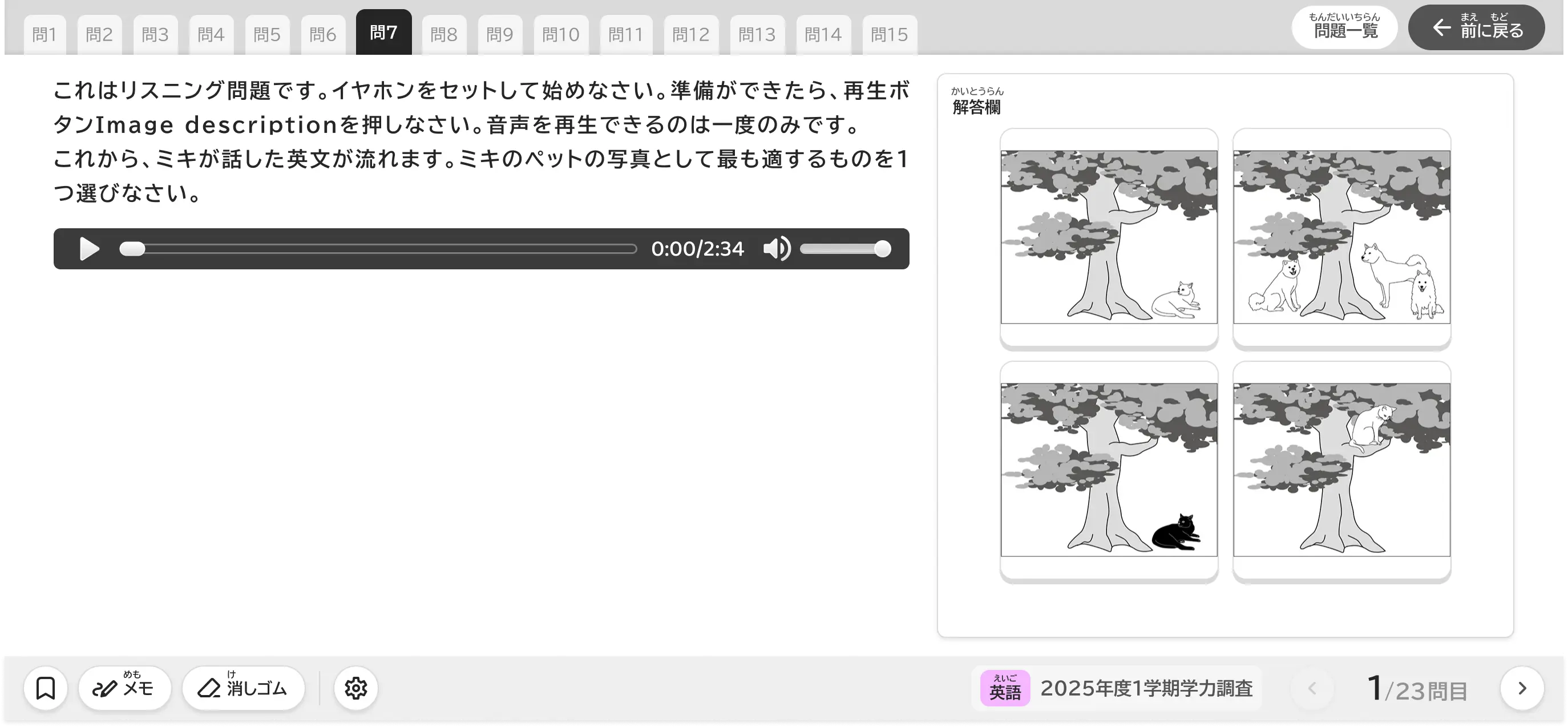 音声問題の例