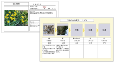 小4 理科 季節と生物