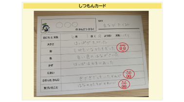 小2 国語 書く・作る「かんさつしてきろくしよう」