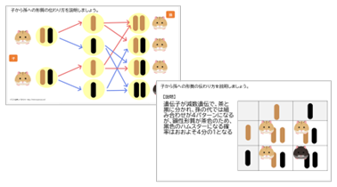 中3 理科 遺伝の規則性と遺伝子