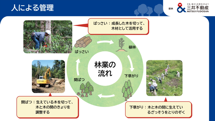 三井不動産株式会社 PDFのサムネイル画像