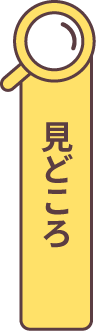 見どころ