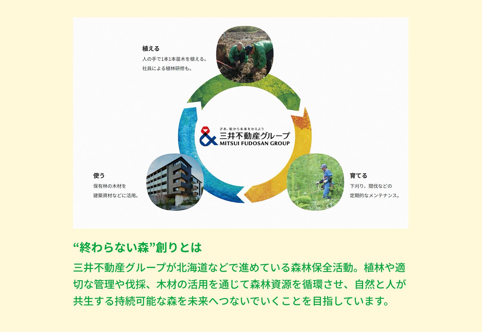 “終わらない森”創りとは