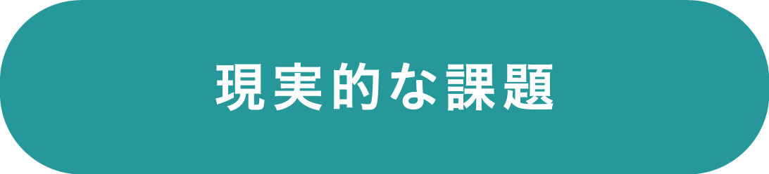 現実的な課題